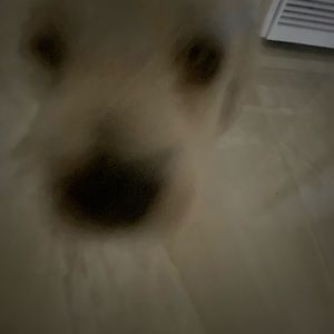 Meet your Posher, Aiden